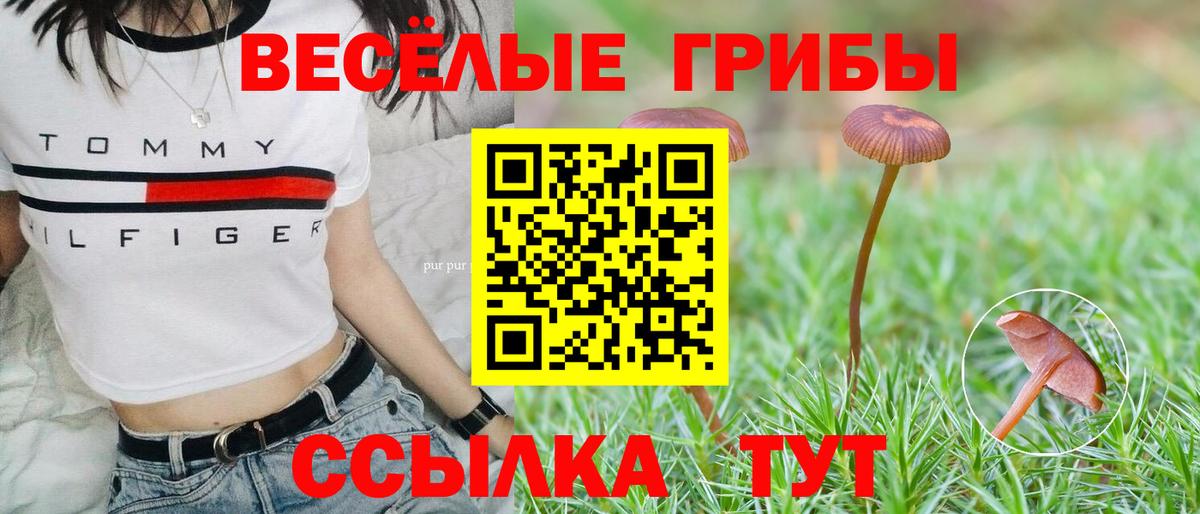 Галлюциногенные грибы Psilocybe  Вход с VPN  где продают наркотики  Псилоцибиновые грибы прущие грибы  Похвистнево 