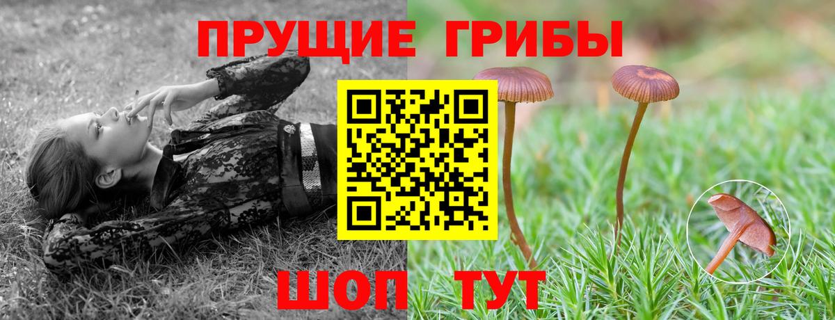 Галлюциногенные грибы Magic Shrooms Похвистнево