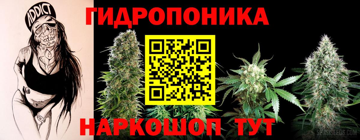 Похвистнево  Канабис White Widow  Канабис гибрид  Вход с VPN  Марихуана THC 21% 